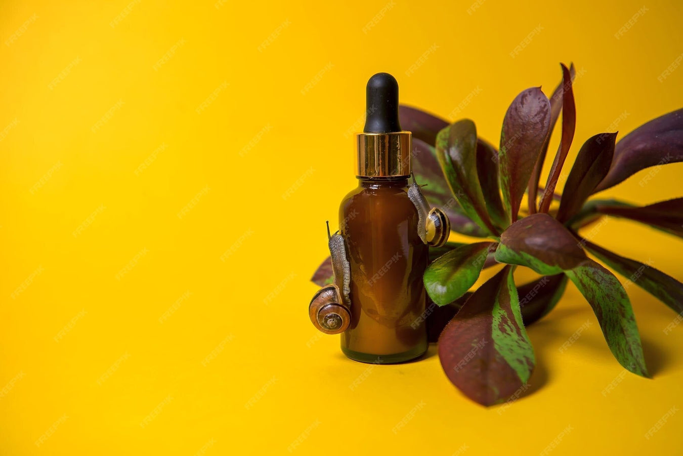 Natural & Essential Oils